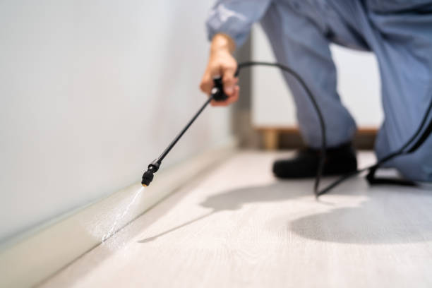 Licensed Termite Control service in Tampa, FL - Nex Pest Control