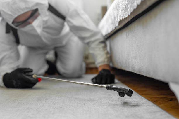 Professional Termite Control technician working in Tampa, FL