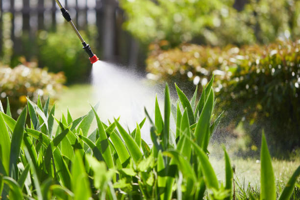 24/7 Emergency Termite Control experts in Tampa, FL