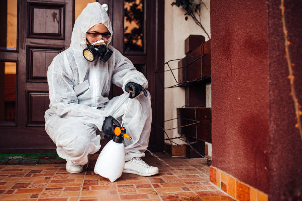 Reliable Termite Control contractor in Tampa, FL by Nex Pest Control